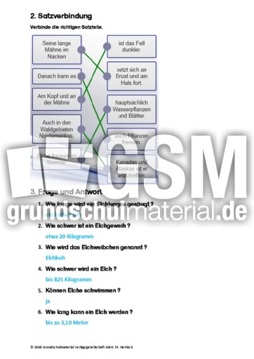 Elch - Sachtext - Sachtexte - Tiere - Sachtexte - Lesen - Deutsch Klasse 3 - Grundschulmaterial.de