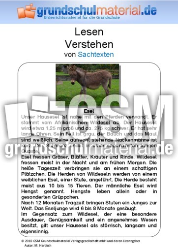 Esel - Sachtext - Sachtexte - Tiere - Sachtexte - Lesen - Deutsch Klasse 3 - Grundschulmaterial.de