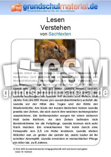 Gundi - Sachtext - Sachtexte - Tiere - Sachtexte - Lesen - Deutsch Klasse 3 - Grundschulmaterial.de