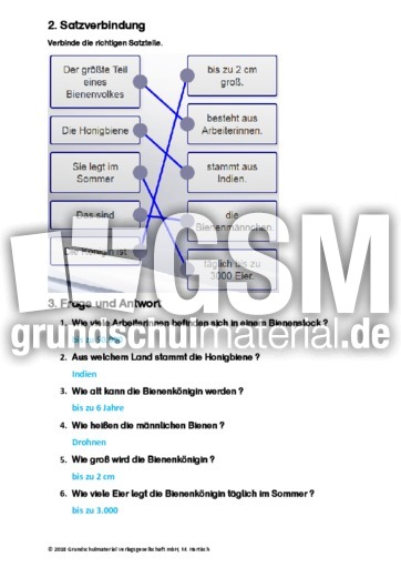 Honigbiene - Sachtext - Sachtexte - Tiere - Sachtexte - Lesen - Deutsch Klasse 3 ...