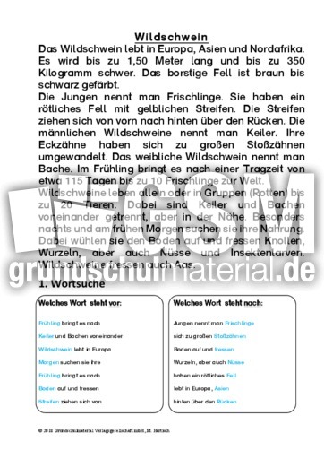 Wildschwein Sachtext Sachtexte Tiere Sachtexte Lesen Deutsch Klasse 3 Grundschulmaterial De