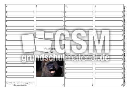 Faltbuch-Gorilla-1 - Lapbook - Gorilla - Lapbooks-Tiere - HuS Klasse 2 - Grundschulmaterial.de