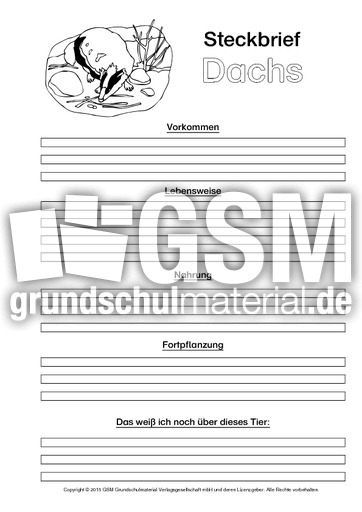 Dachs Steckbriefvorlage Sw Tiersteckbrief Vorlagen Sw Steckbriefe Tiere Sachthemen Hus Klasse 3 Grundschulmaterial De