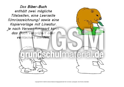 Mini Buch Biber Minibucher Tiere Lapbook Vorlagen Material Klasse 2 Grundschulmaterial De