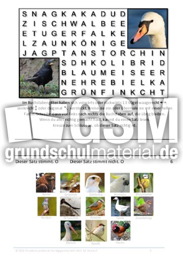 vogel schwer suchsel ratsel puzzles und suchsel material klassenubergreifendes material grundschulmaterial de