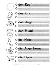 Deutsch Als Fremdsprache In Der Grundschule Daz Korperteile Daz Nach Themen Deutsch Daz Deutsch Als Zweitsprache Grundschulmaterial De