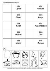 Korperteile Arbeitsblatt In Der Grundschule Daz Korperteile Daz Nach Themen Deutsch Daz Deutsch Als Zweitsprache Grundschulmaterial De