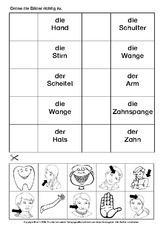 Korperteile Arbeitsblatt In Der Grundschule Daz Korperteile Daz Nach Themen Deutsch Daz Deutsch Als Zweitsprache Grundschulmaterial De