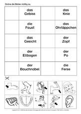 Korperteile Arbeitsblatt In Der Grundschule Daz Korperteile Daz Nach Themen Deutsch Daz Deutsch Als Zweitsprache Grundschulmaterial De