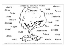 Baum In Der Grundschule Nomen Zusammensetzen Zusammengesetzte Nomen Nomen Deutsch Klasse 2 Grundschulmaterial De