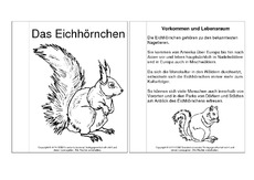 Bastelvorlage In Der Grundschule Lapbook Eichhornchen Lapbooks Tiere Hus Klasse 2 Grundschulmaterial De