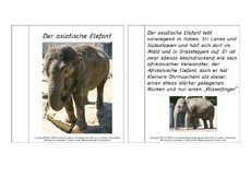 Lapbook Elefanten Lapbooks Tiere Hus Klasse 2 Grundschulmaterial De