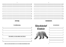 Tier Steckbrief Blanko 2 Tiersteckbrief Vorlagen Sw Steckbriefe Tiere Sachthemen Hus Klasse 3 Grundschulmaterial De