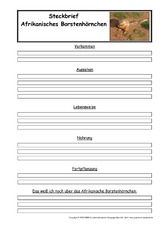 bisamratte steckbrief tiersteckbriefe lesen steckbriefe tiere sachthemen hus klasse 3 grundschulmaterial de