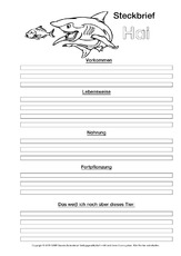 Hai Arbeitsblatt In Der Grundschule Tiersteckbrief Vorlagen Sw Steckbriefe Tiere Sachthemen Hus Klasse 3 Grundschulmaterial De