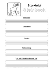 Tiersteckbrief Vorlagen Sw Steckbriefe Tiere Sachthemen Hus Klasse 3 Grundschulmaterial De