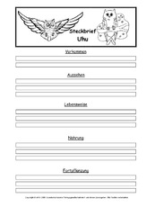 Uhu - Tier-Steckbrief - für Kinder & Schule